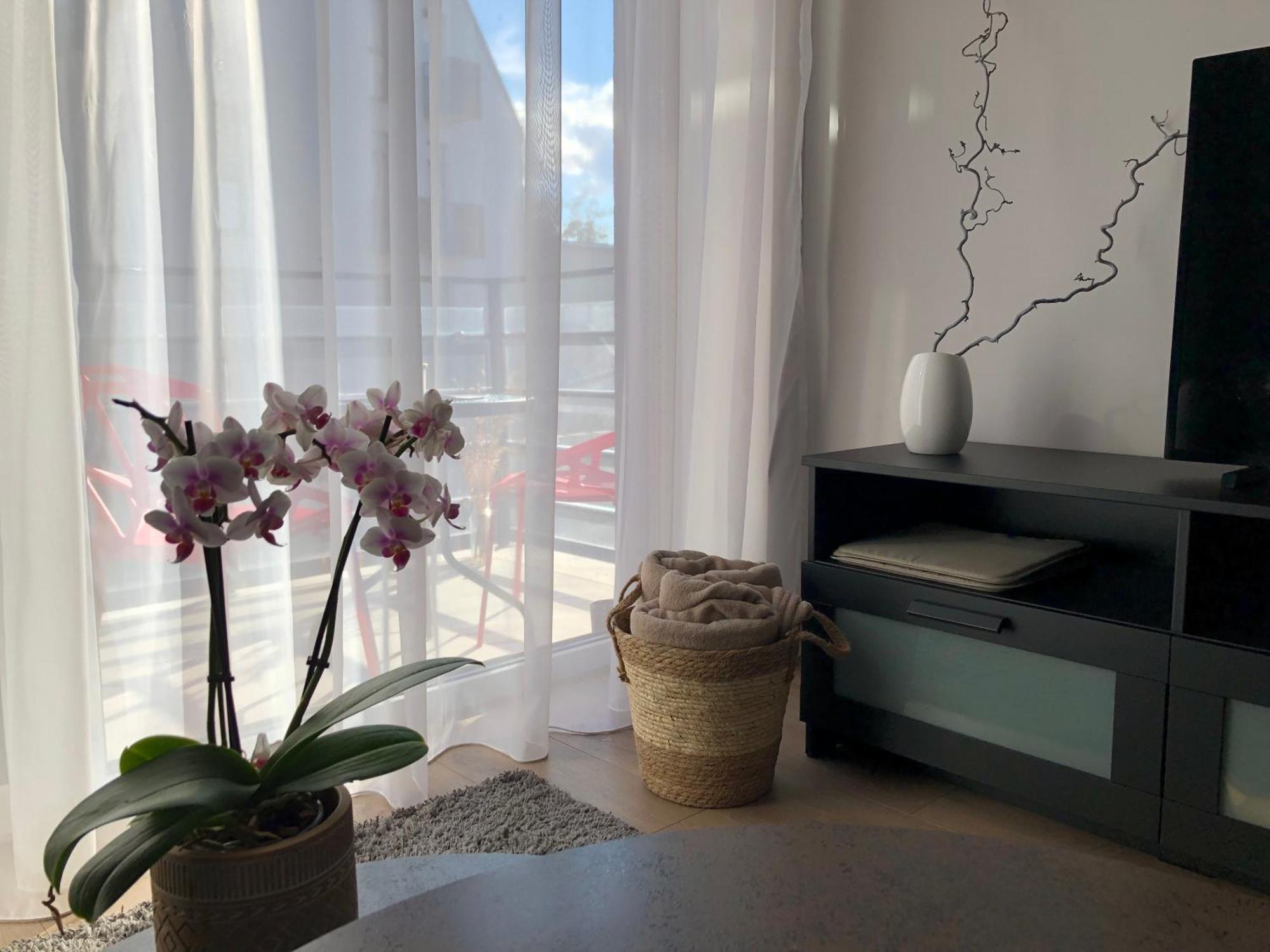 Cosy 1 Bedroom Apartment In The Heart Of Old Town With Parking Каунас Экстерьер фото
